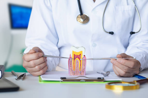 Best Emergency Treatment for Toothache in Marlette, MI
